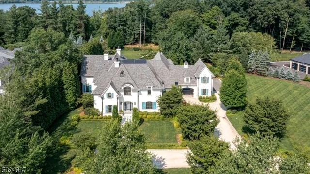an aerial view of residential houses with outdoor space and trees all around