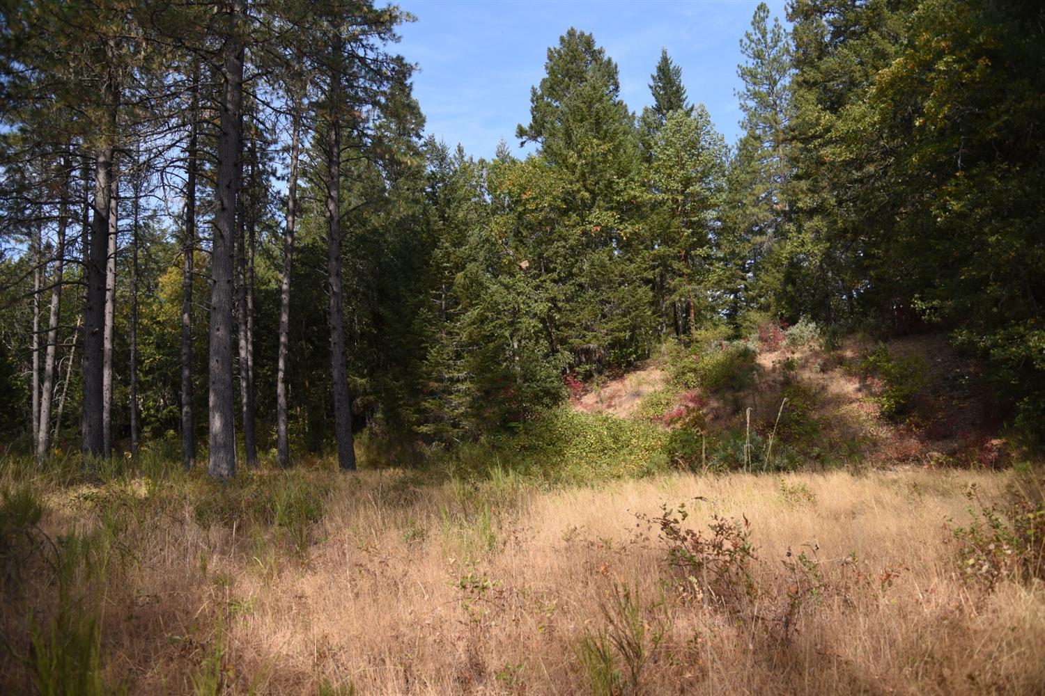 0 Lone Mountain Road, Unit TL602 O'Brien, OR 97534 - Photo 7 of 12 Additional Photo