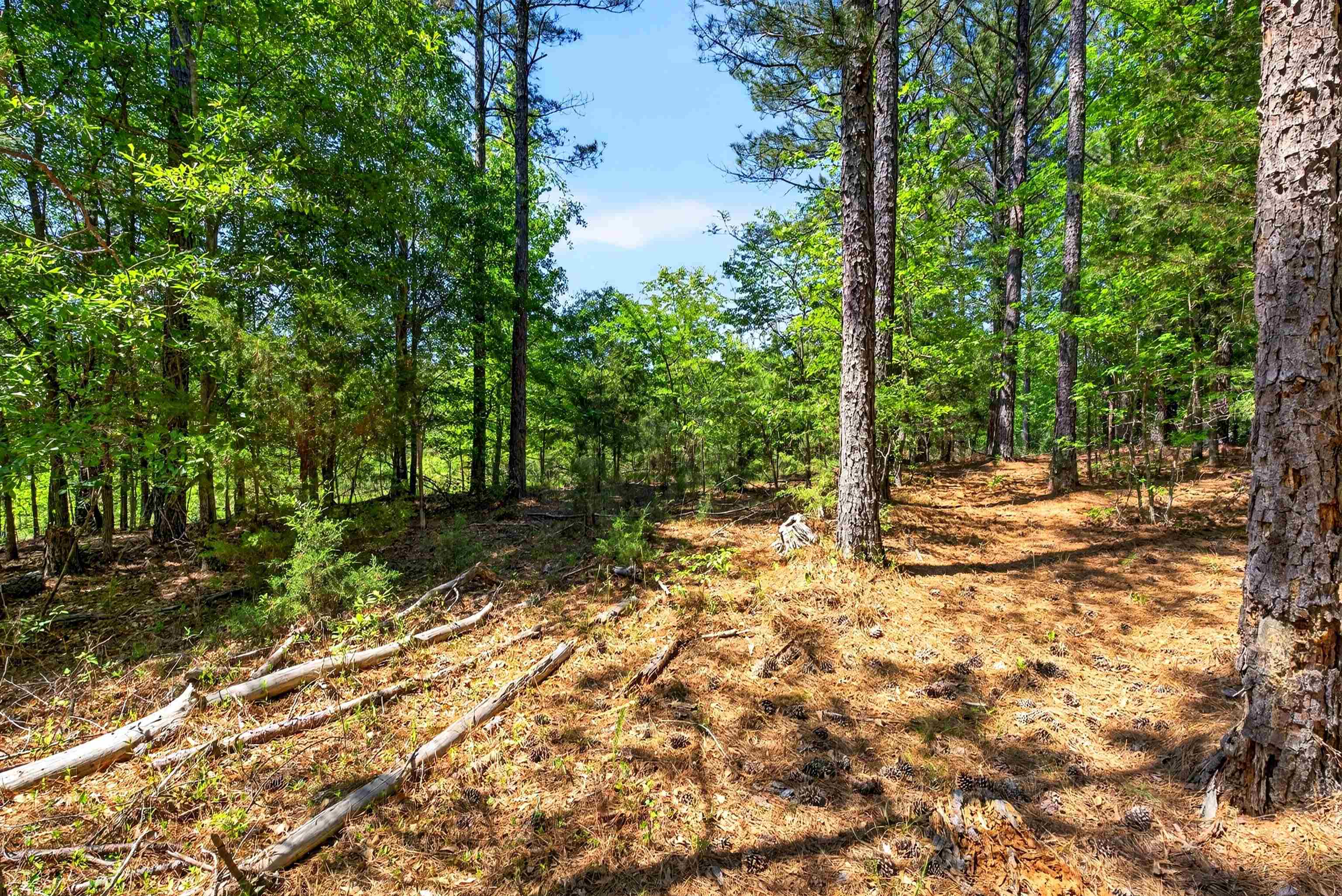0 Gowdeysville Road Gaffney, SC 29340 - Photo 4 of 12