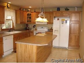 12540 Manning Road Glenarm, IL 62536 - Photo 2 of 8