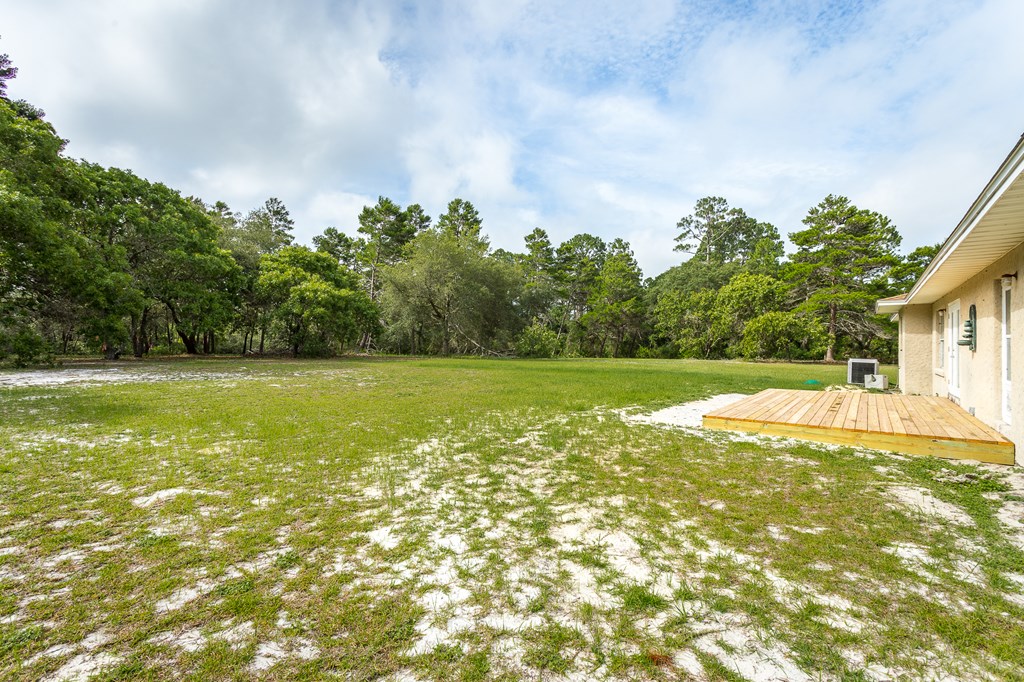 229 Woodill Road Carrabelle, FL 32322 - Photo 7 of 47 Gallery Image 7