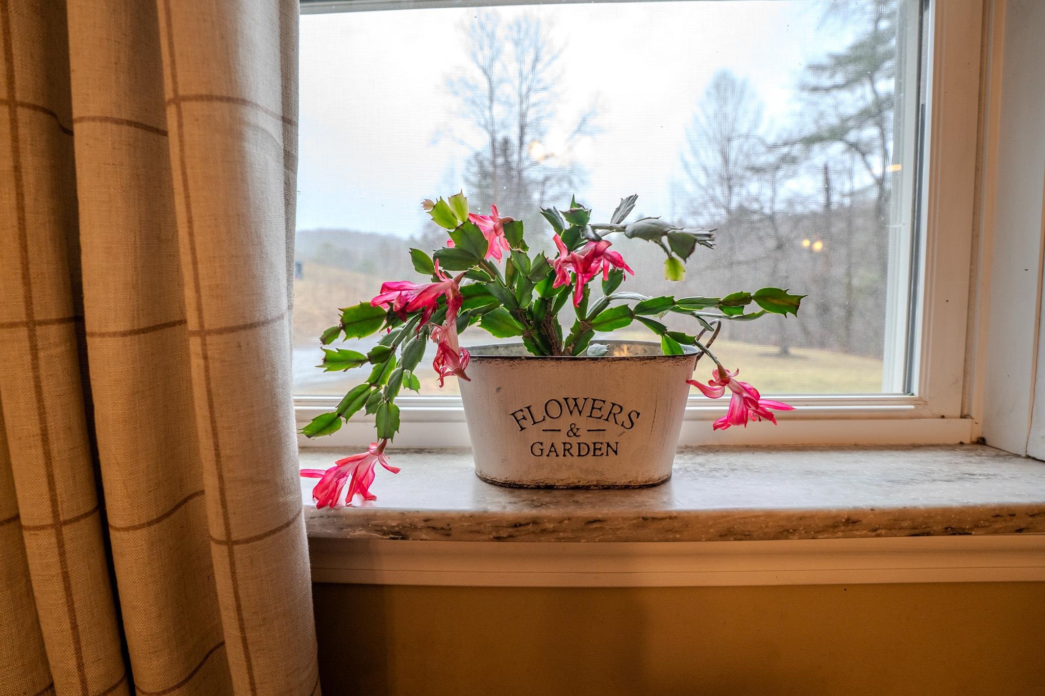 381 Lackey Hill Road St. Johnsbury, VT 05819 - Photo 38 of 44