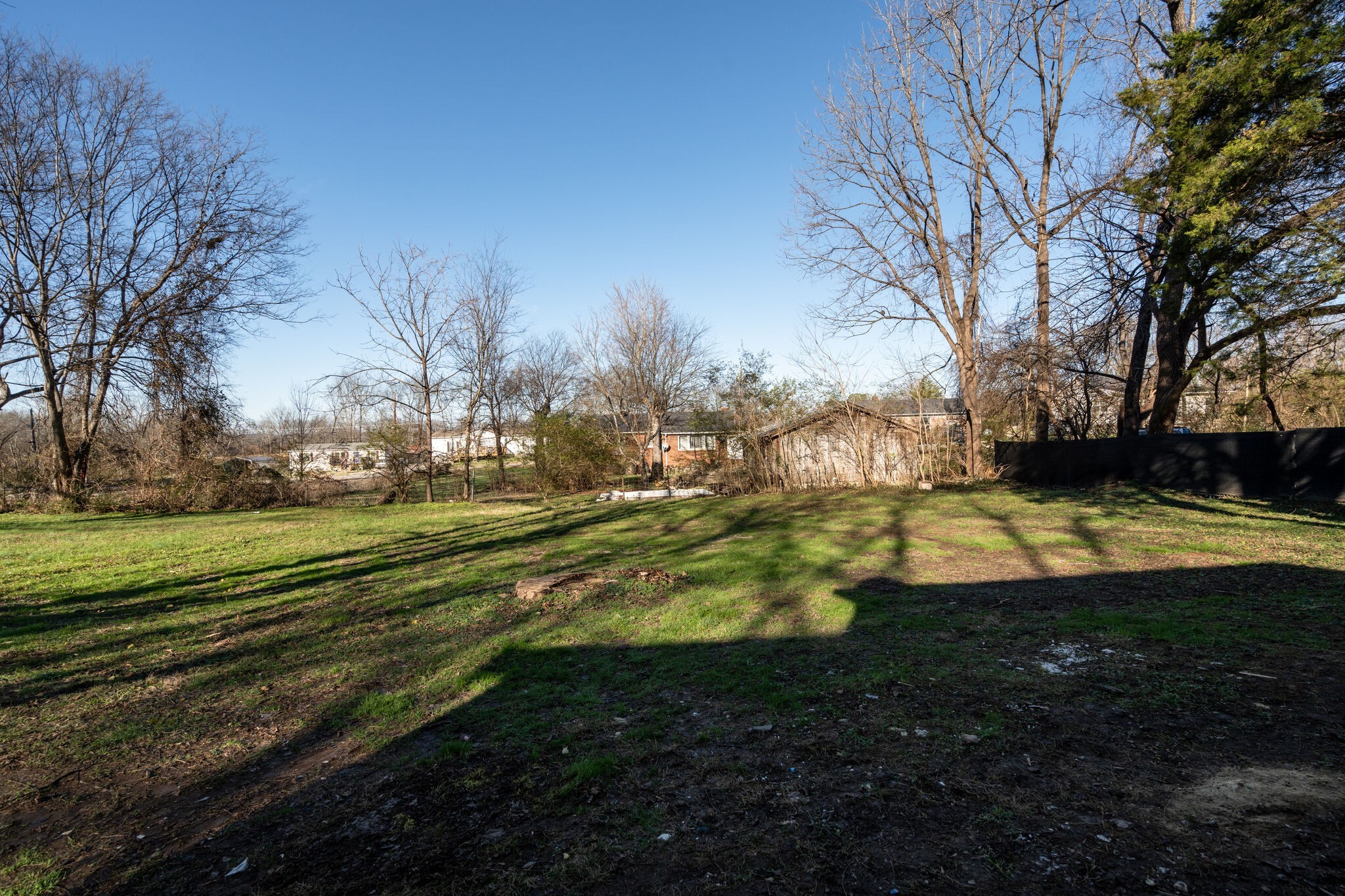 706 Pace Street Gallatin, TN 37066 - Photo 18 of 20 a view of a yard with large trees