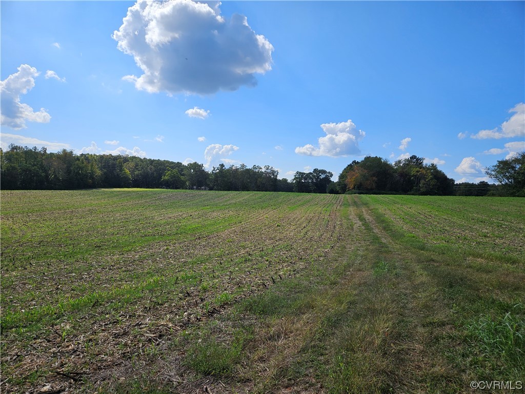 a view of a lake in middle of the forest