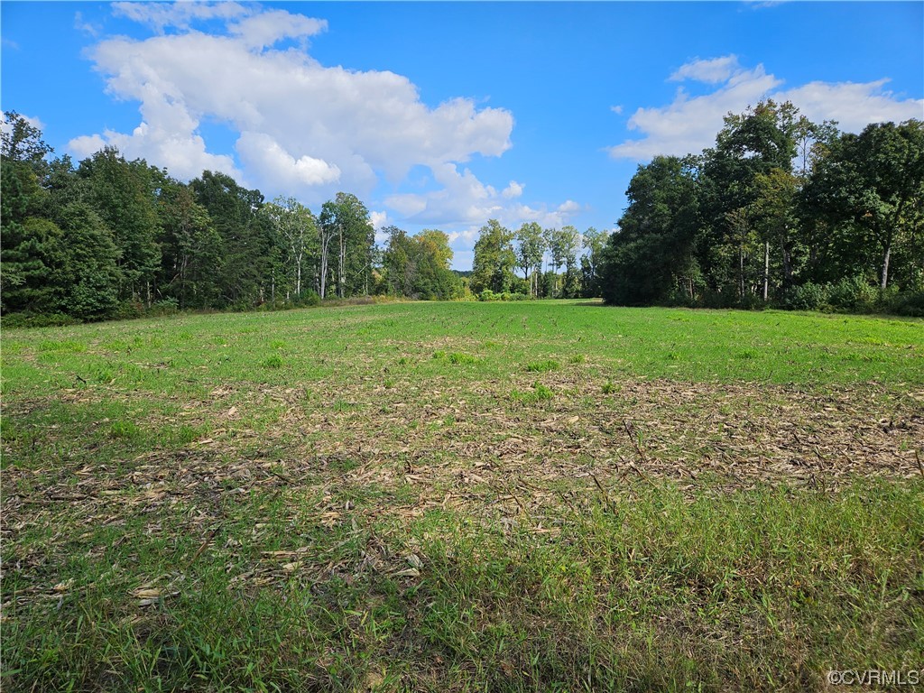 0 Maidens Road Powhatan, VA 23139 - Photo 2 of 6 a view of field with trees in the background