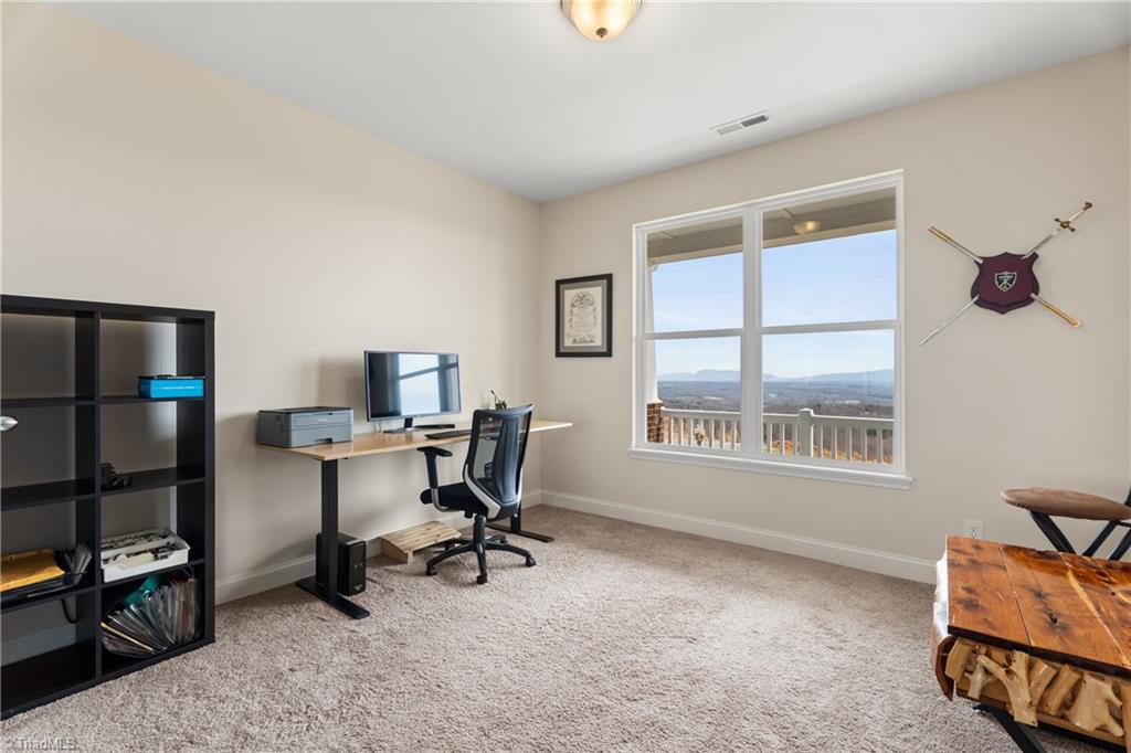 282 Howell Road Pilot Mountain, NC 27041 - Photo 29 of 50