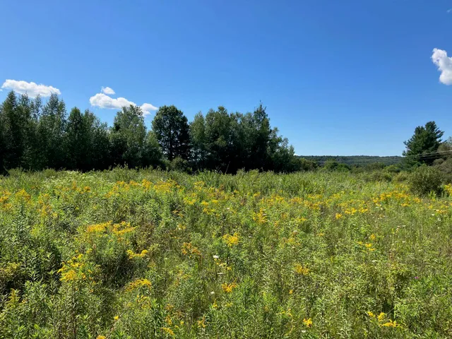 $55,000 | 1 Main Street, Unit LOT 1, Richford, VT 05476