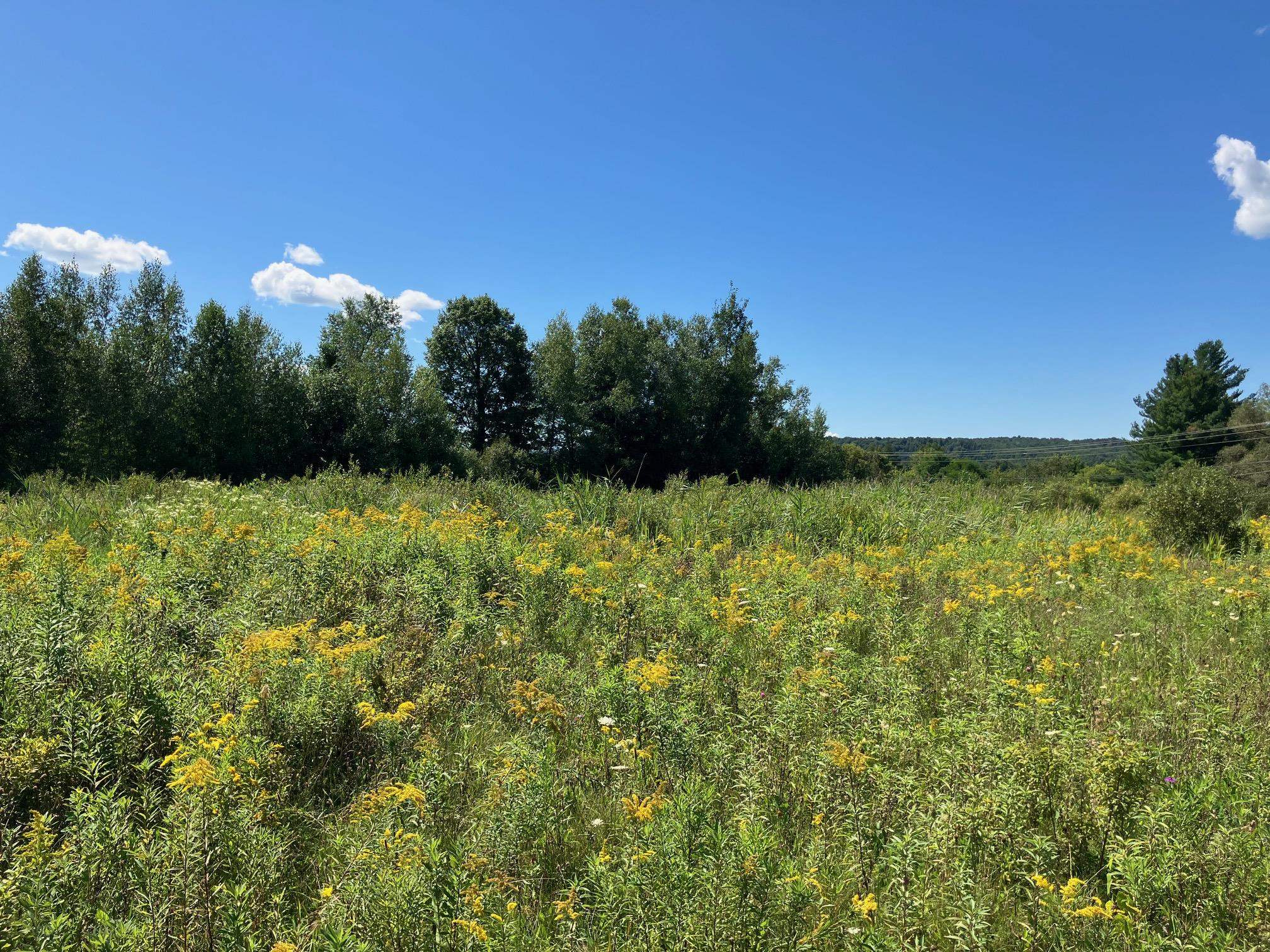 1 Main Street, Unit LOT 1 Richford, VT 05476 - Photo 5 of 5