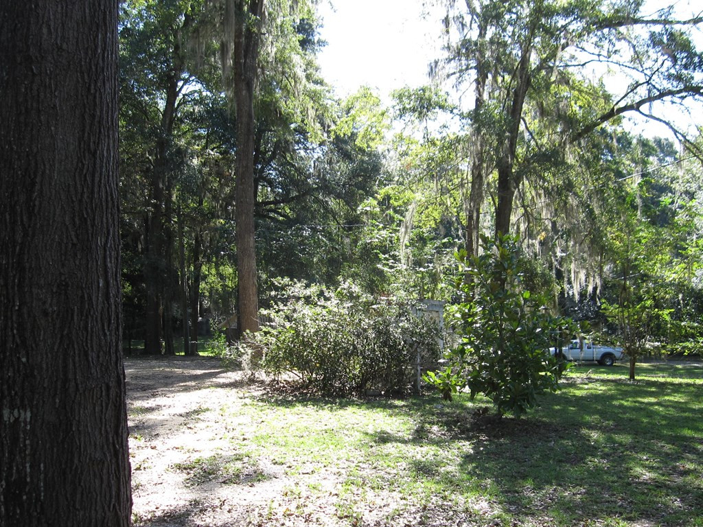 1408 Scott Lake Road Summerton, SC 29148 - Photo 6 of 17 Gallery Image 6