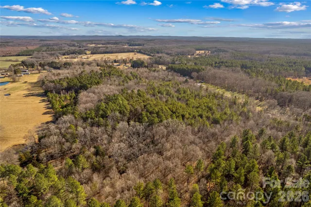 a view of a yard with wooden floor