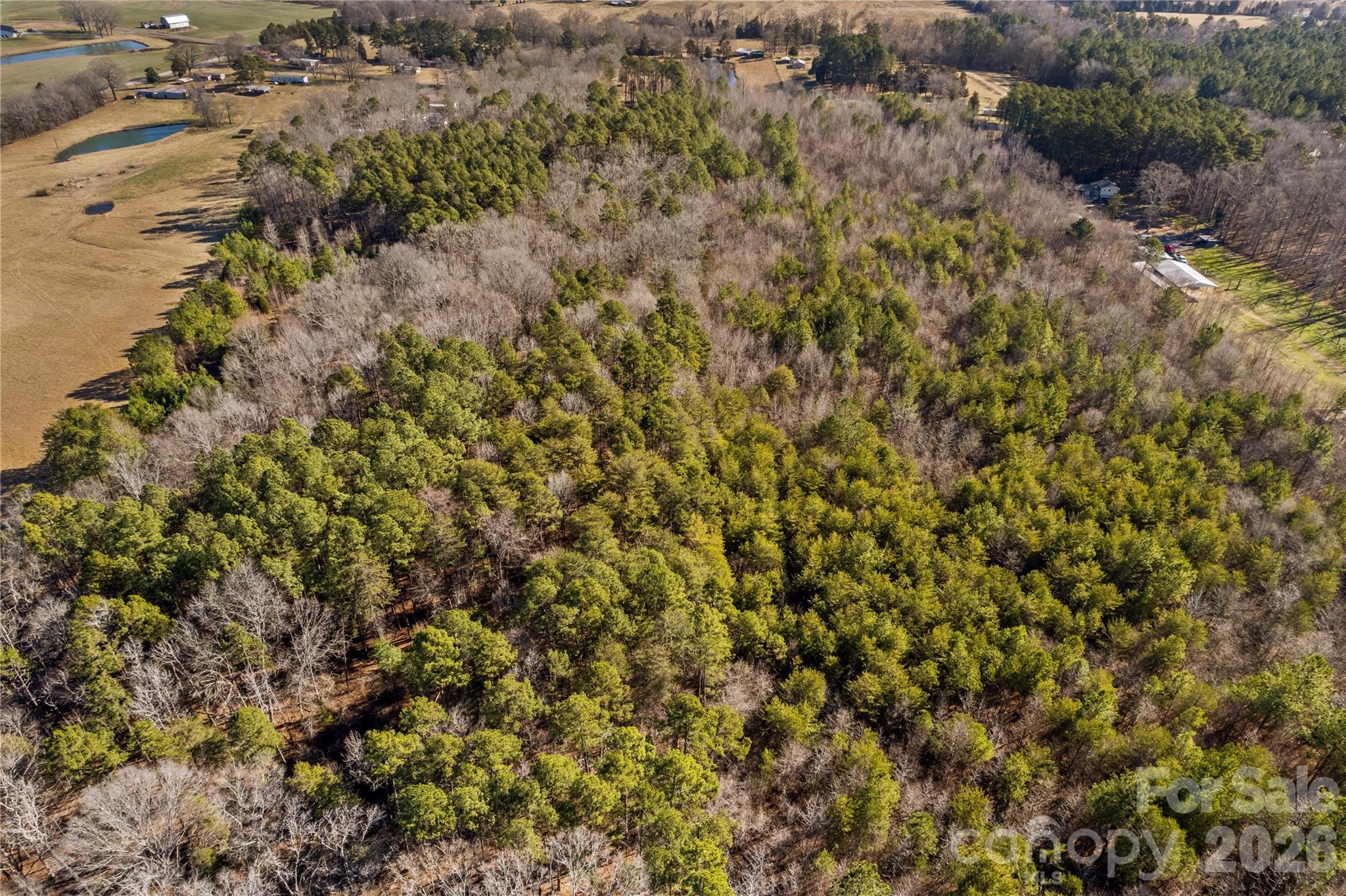 0 Morgan Road Gold Hill, NC 28071 - Photo 13 of 21 a view of a yard