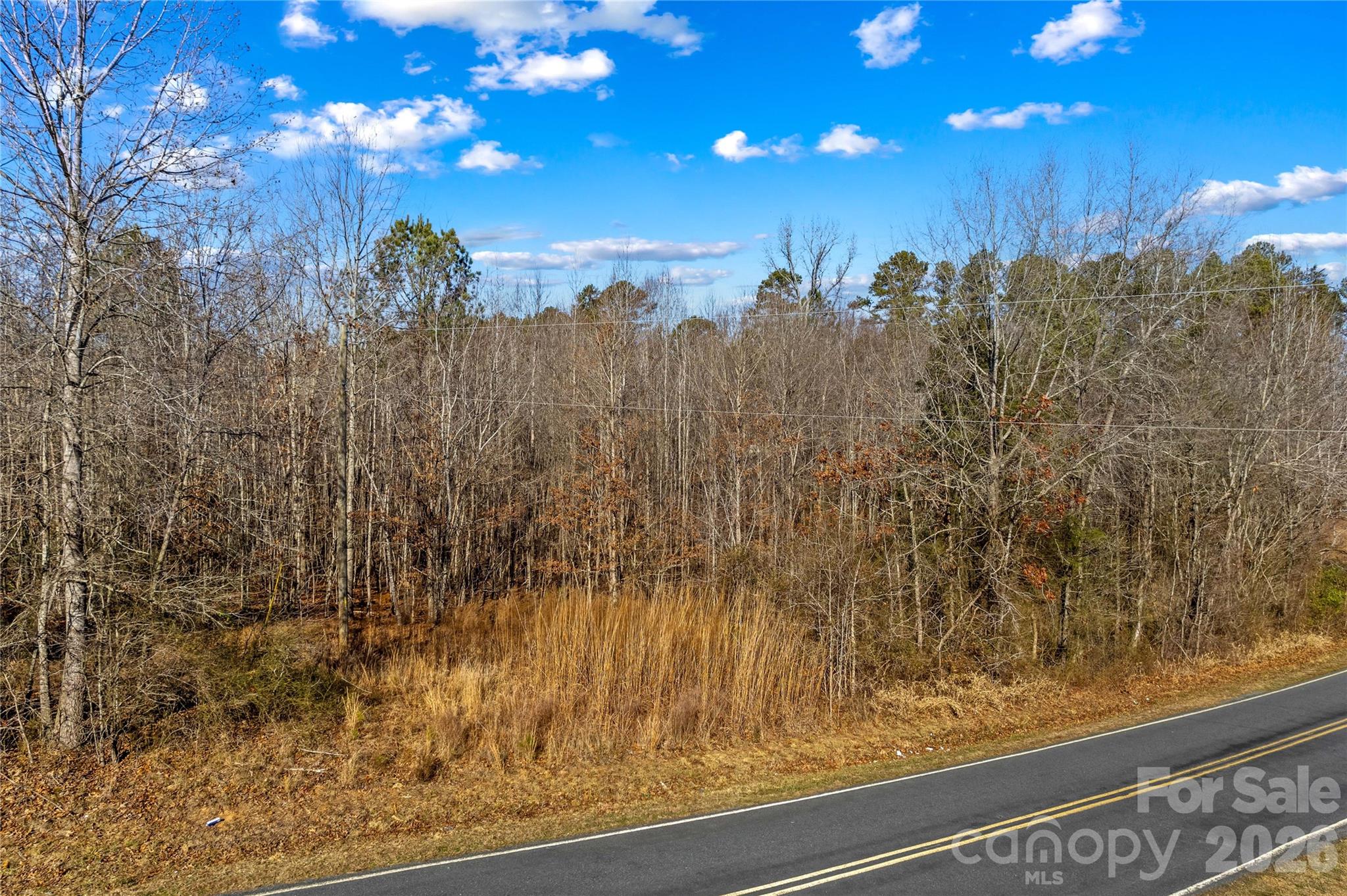 0 Morgan Road Gold Hill, NC 28071 - Photo 18 of 21 a view of a forest