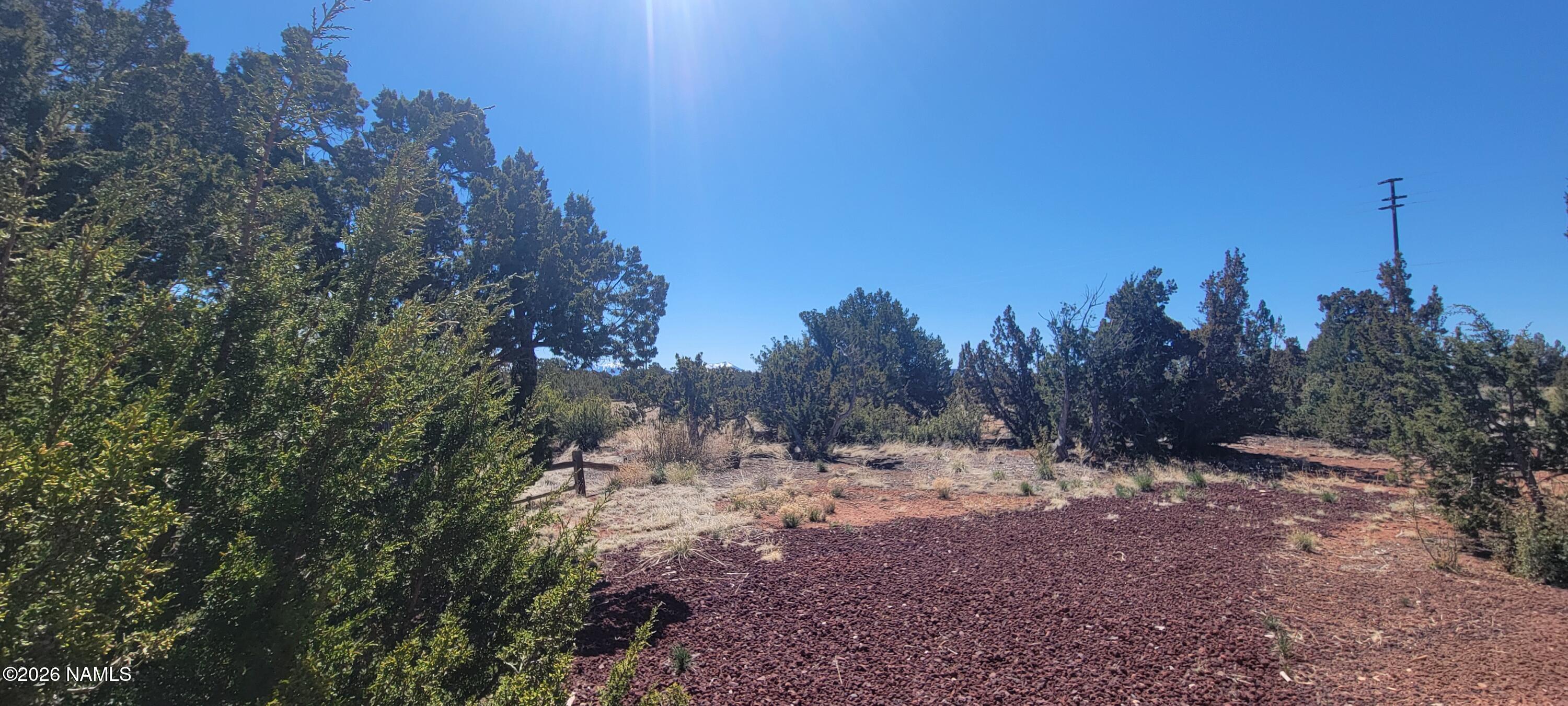 4650 Juniper Road Williams, AZ 86046 - Photo 14 of 28 a view of a forest with trees in the background