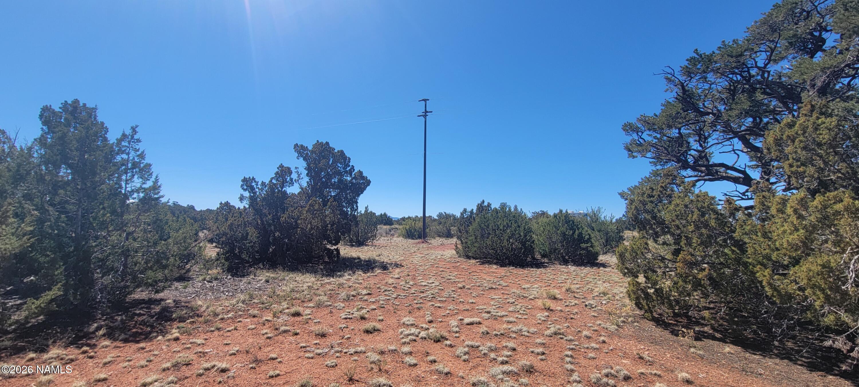 4650 Juniper Road Williams, AZ 86046 - Photo 2 of 28 a view of a yard