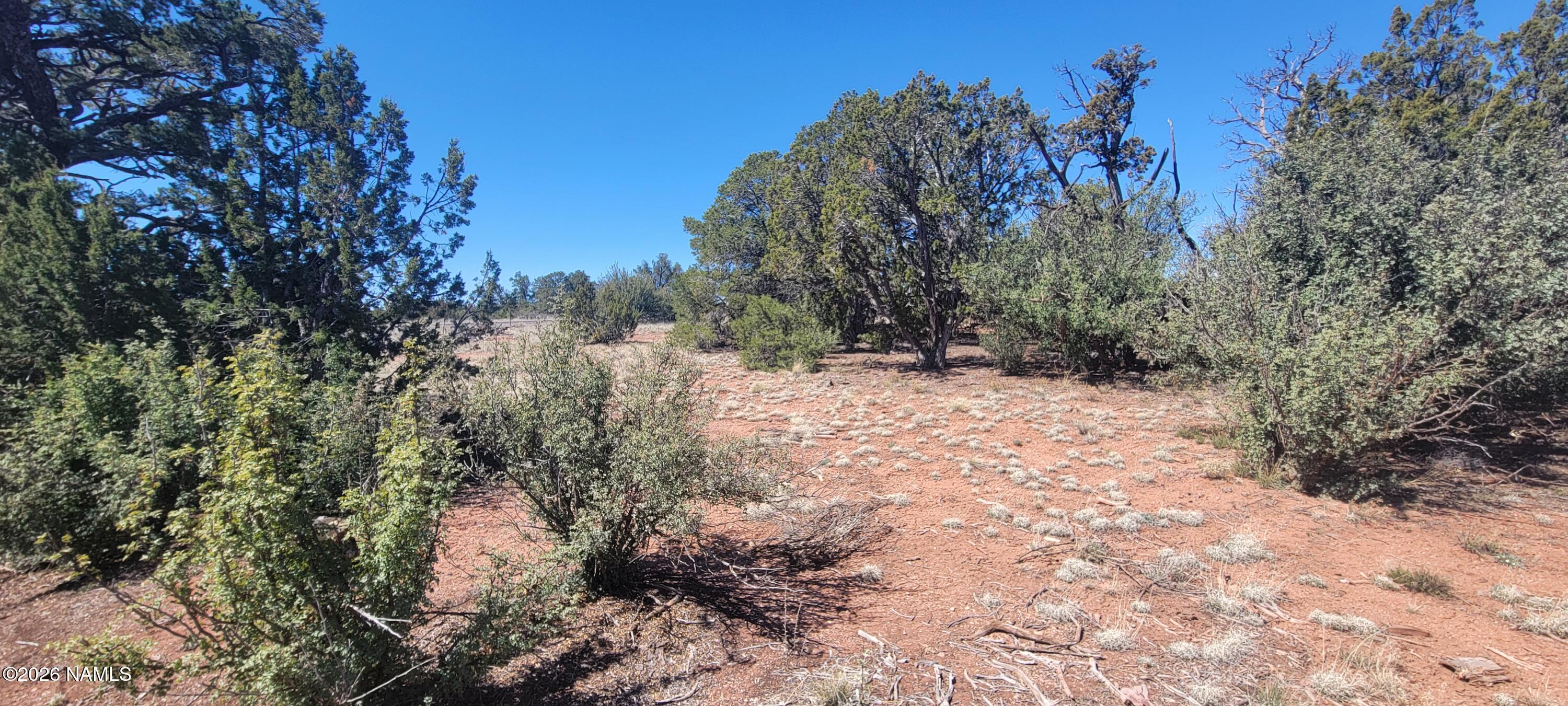 4650 Juniper Road Williams, AZ 86046 - Photo 22 of 28
