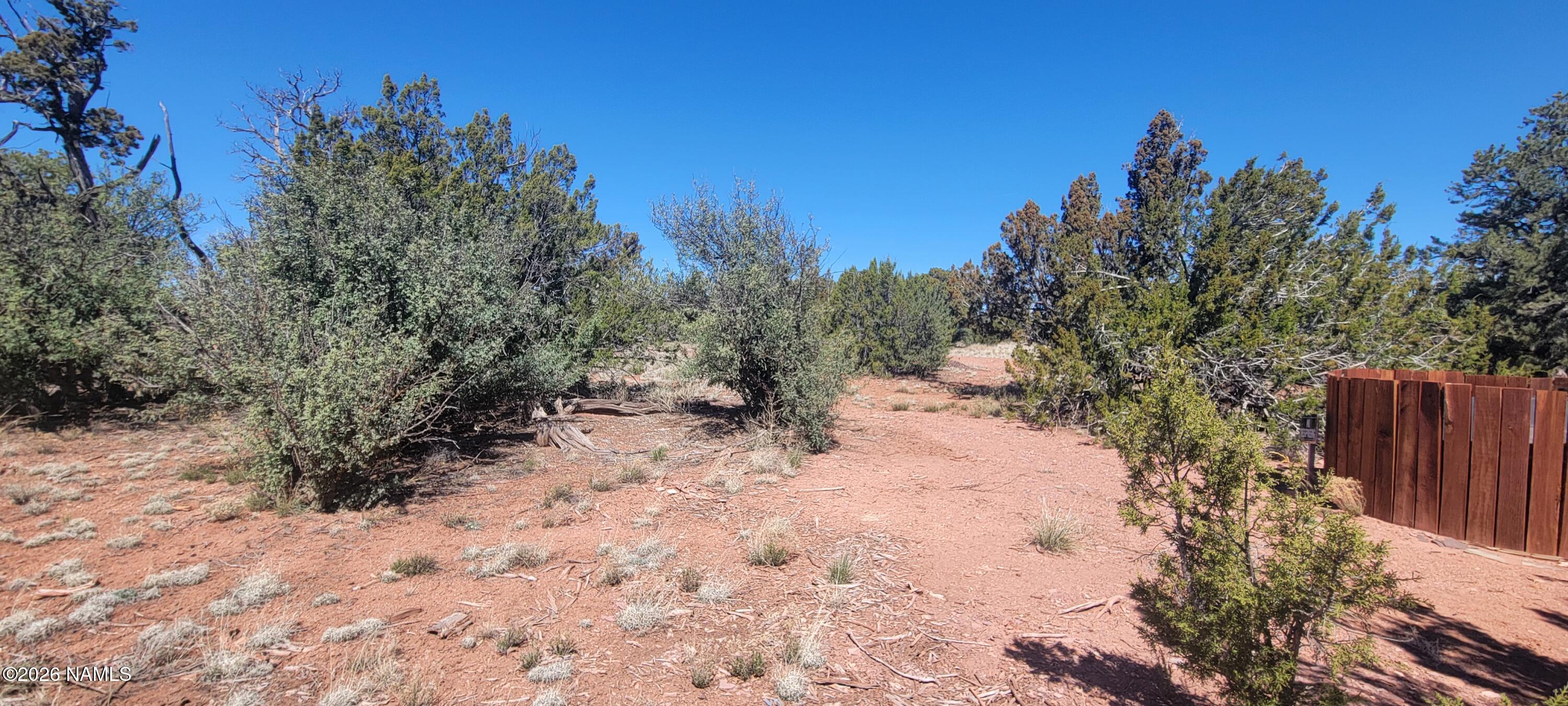 4650 Juniper Road Williams, AZ 86046 - Photo 23 of 28 a view of a yard with large trees
