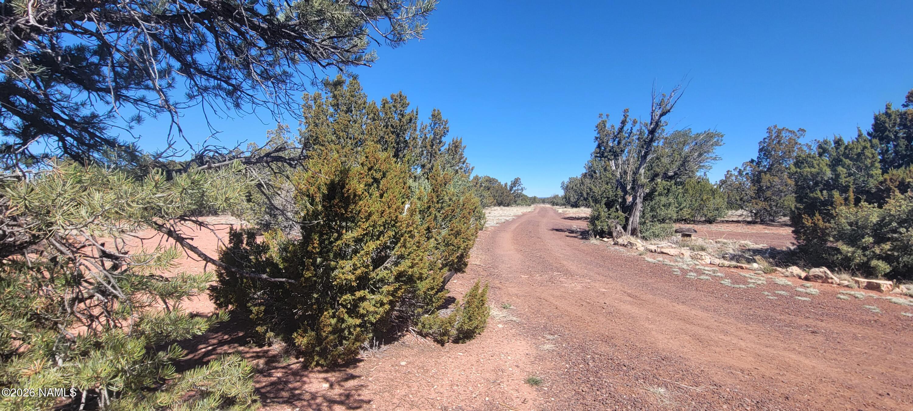 4650 Juniper Road Williams, AZ 86046 - Photo 24 of 28 a view of a yard with plants and trees