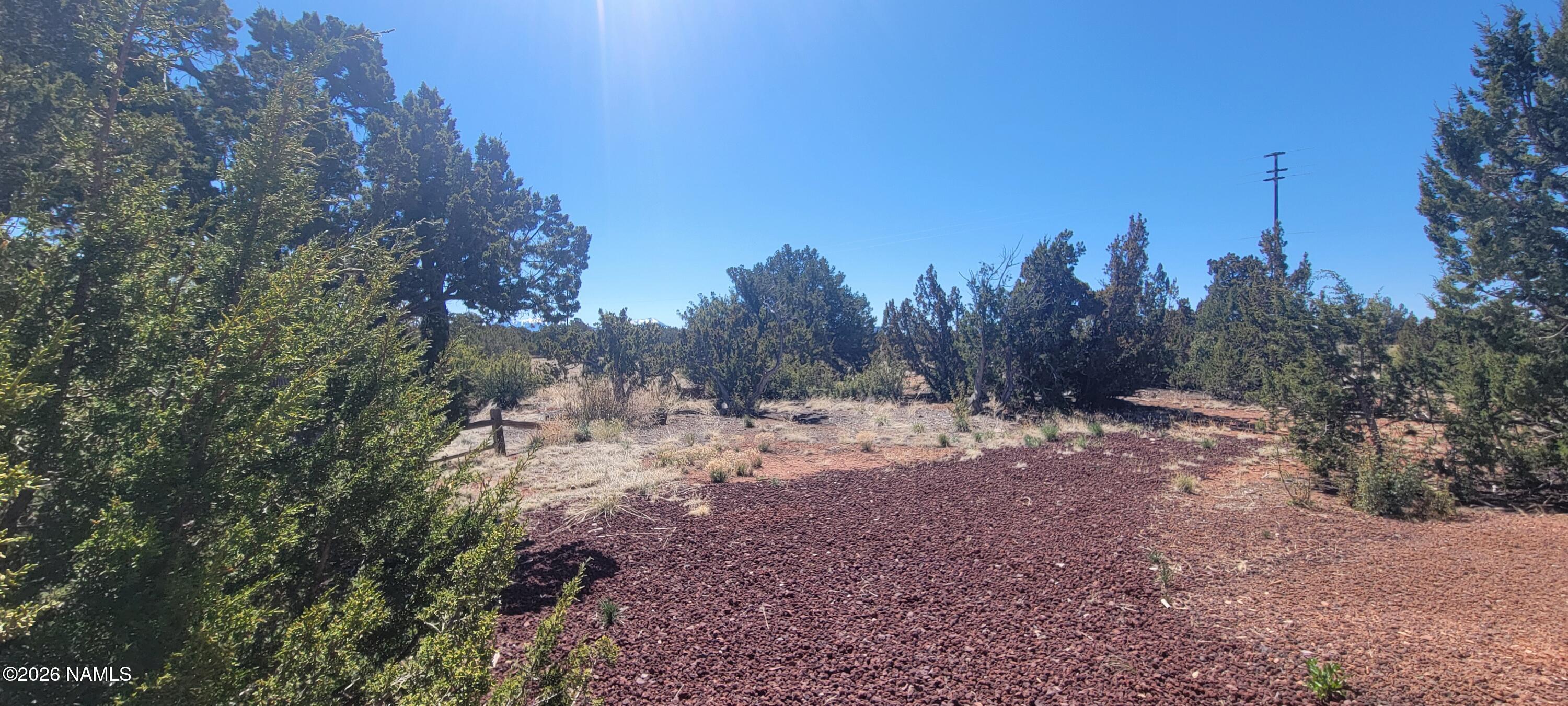 4650 Juniper Road Williams, AZ 86046 - Photo 25 of 28 a view of a yard with a tree