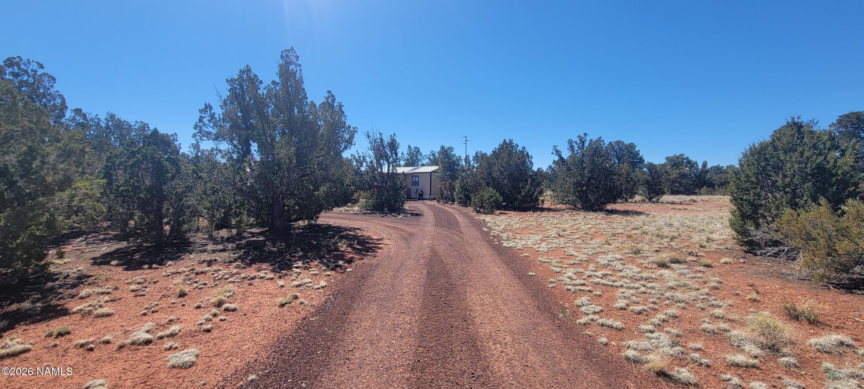 4650 Juniper Road Williams, AZ 86046 - Photo 26 of 28 a view of a road with trees in the background
