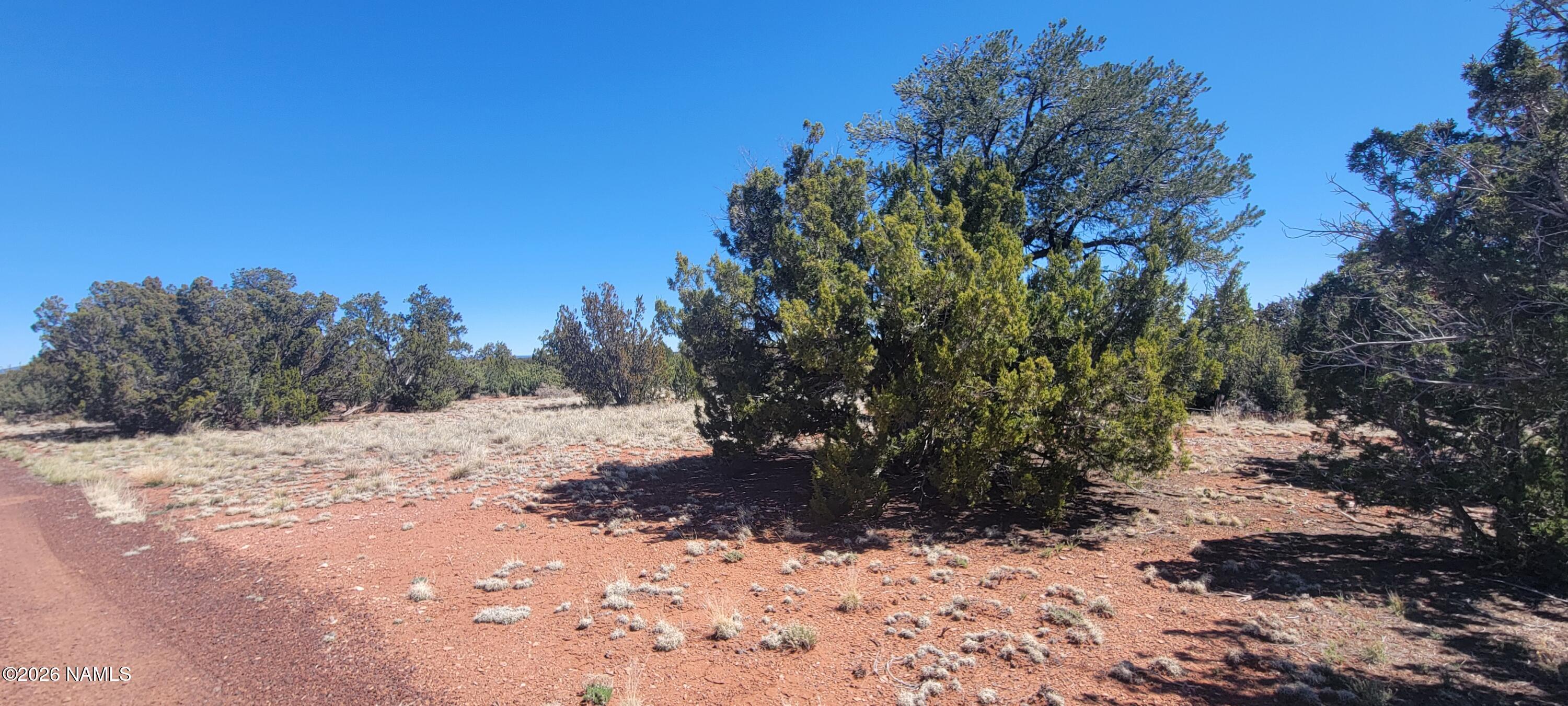 4650 Juniper Road Williams, AZ 86046 - Photo 27 of 28 a view of a snow on a field