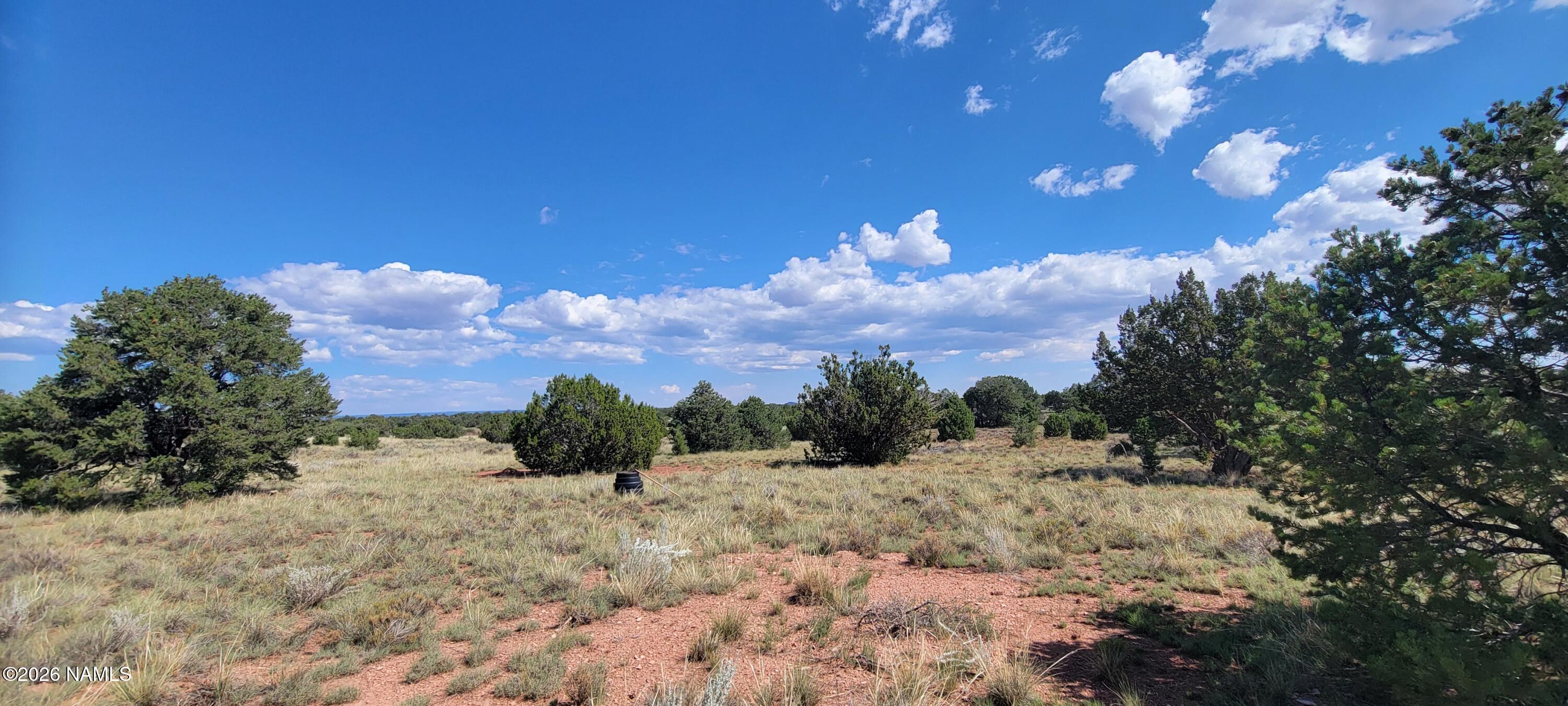 4650 Juniper Road Williams, AZ 86046 - Photo 4 of 28 a view of a covered with snow in the background