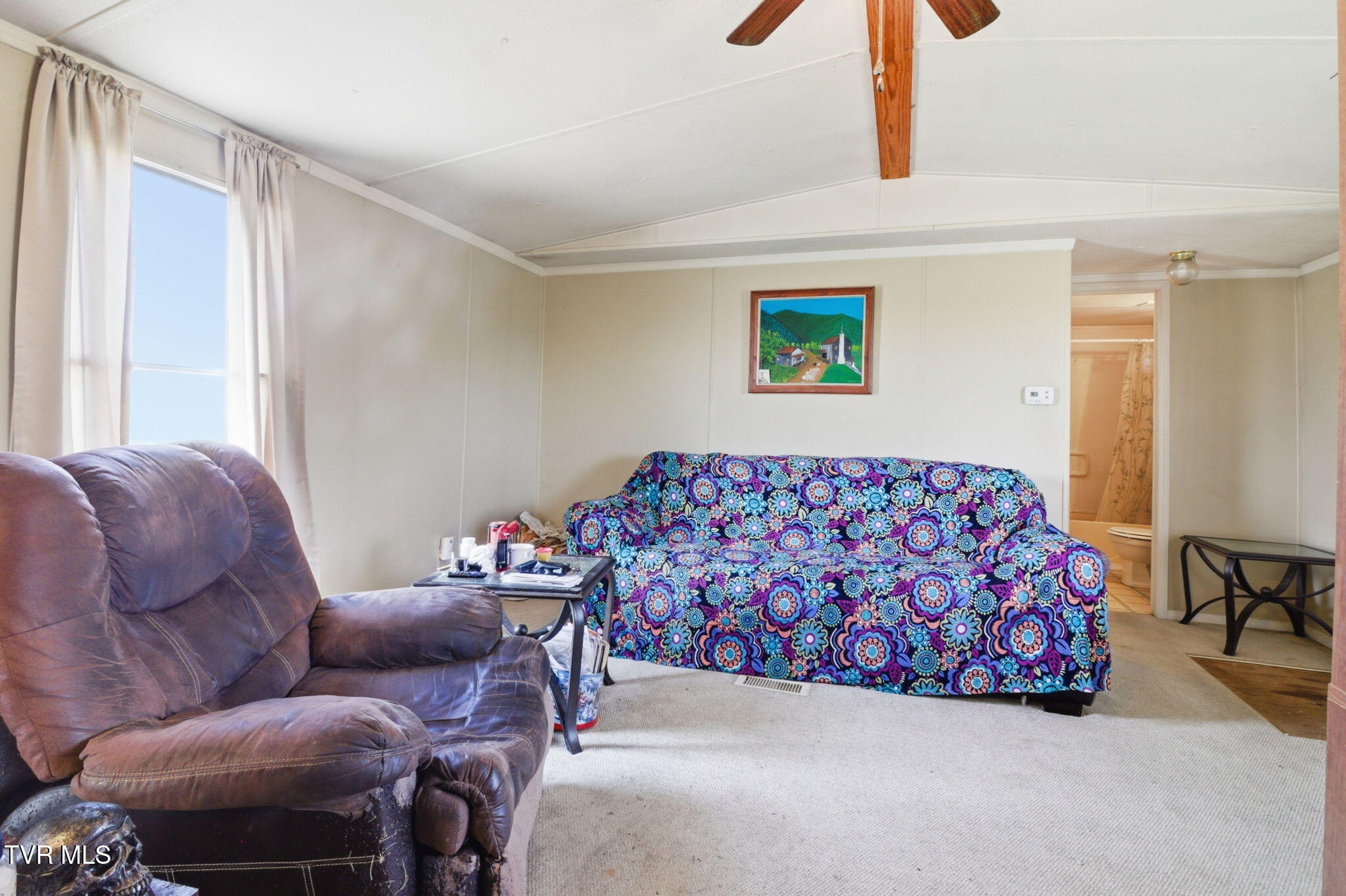 660 Mohawk Creek Road Midway, TN 37809 - Photo 10 of 29 9-web-or-mls-DZ3A9904