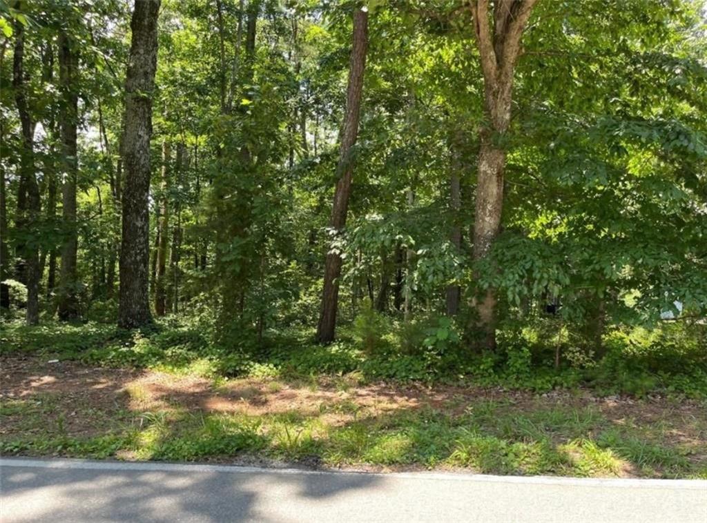 1315 Gaddis Road Canton, GA 30115 - Photo 6 of 8 a backyard of a house with lots of green space
