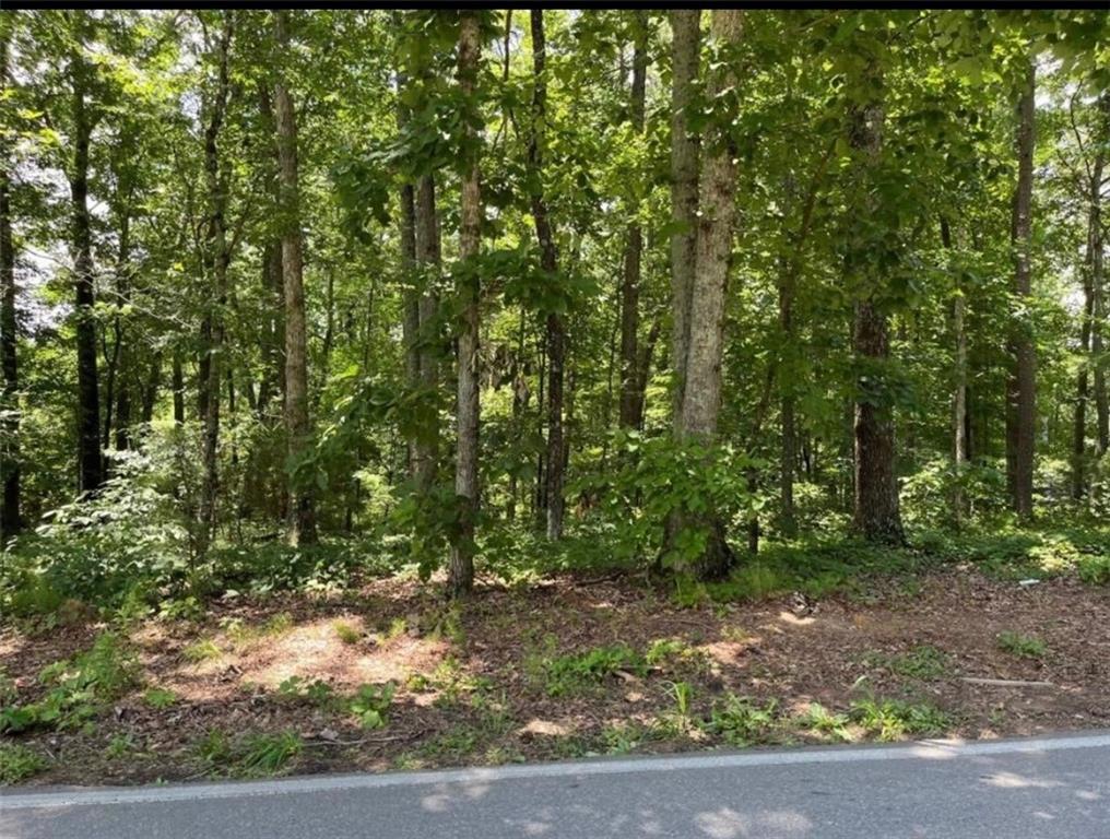 1315 Gaddis Road Canton, GA 30115 - Photo 8 of 8 a view of outdoor space and garden