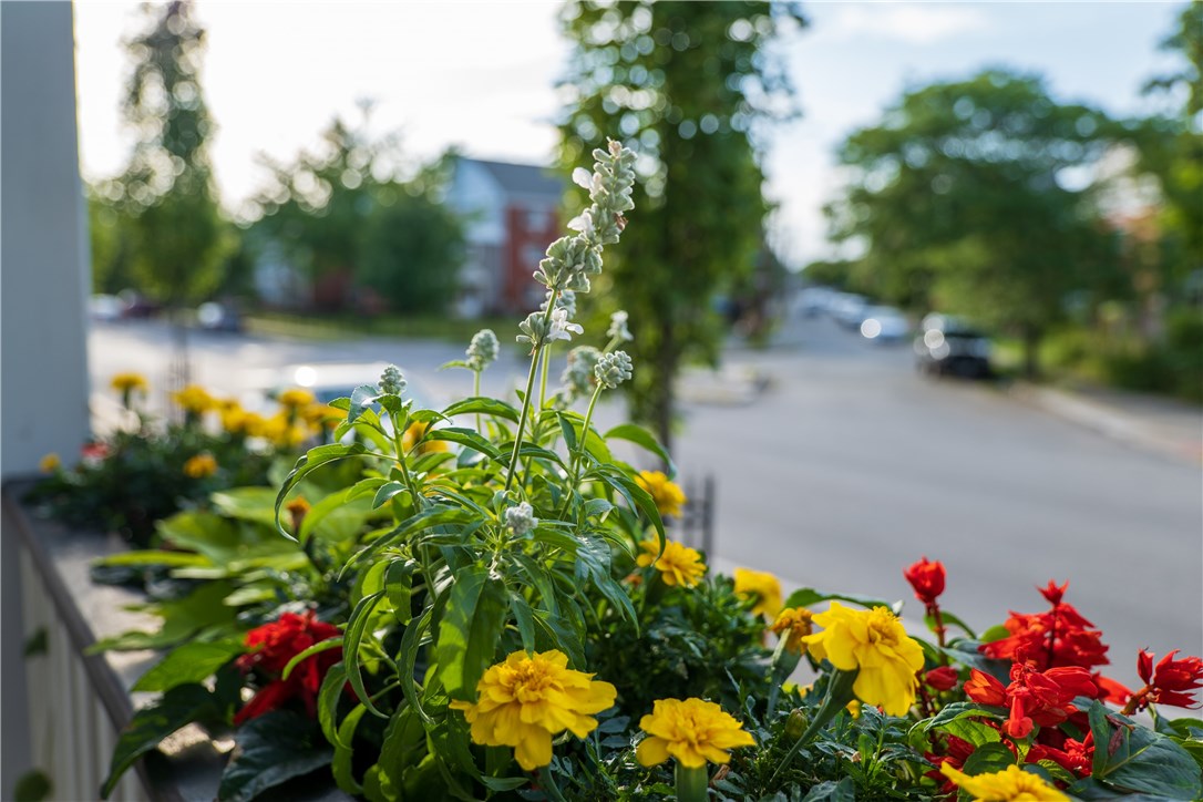 18 Bridgham Street Providence, RI 02907 - Photo 3 of 50