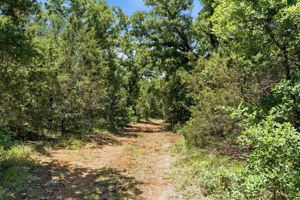 4320 Dobbs Valley Road Millsap, TX 76066 - Photo 3 of 40 a view of a yard with plants