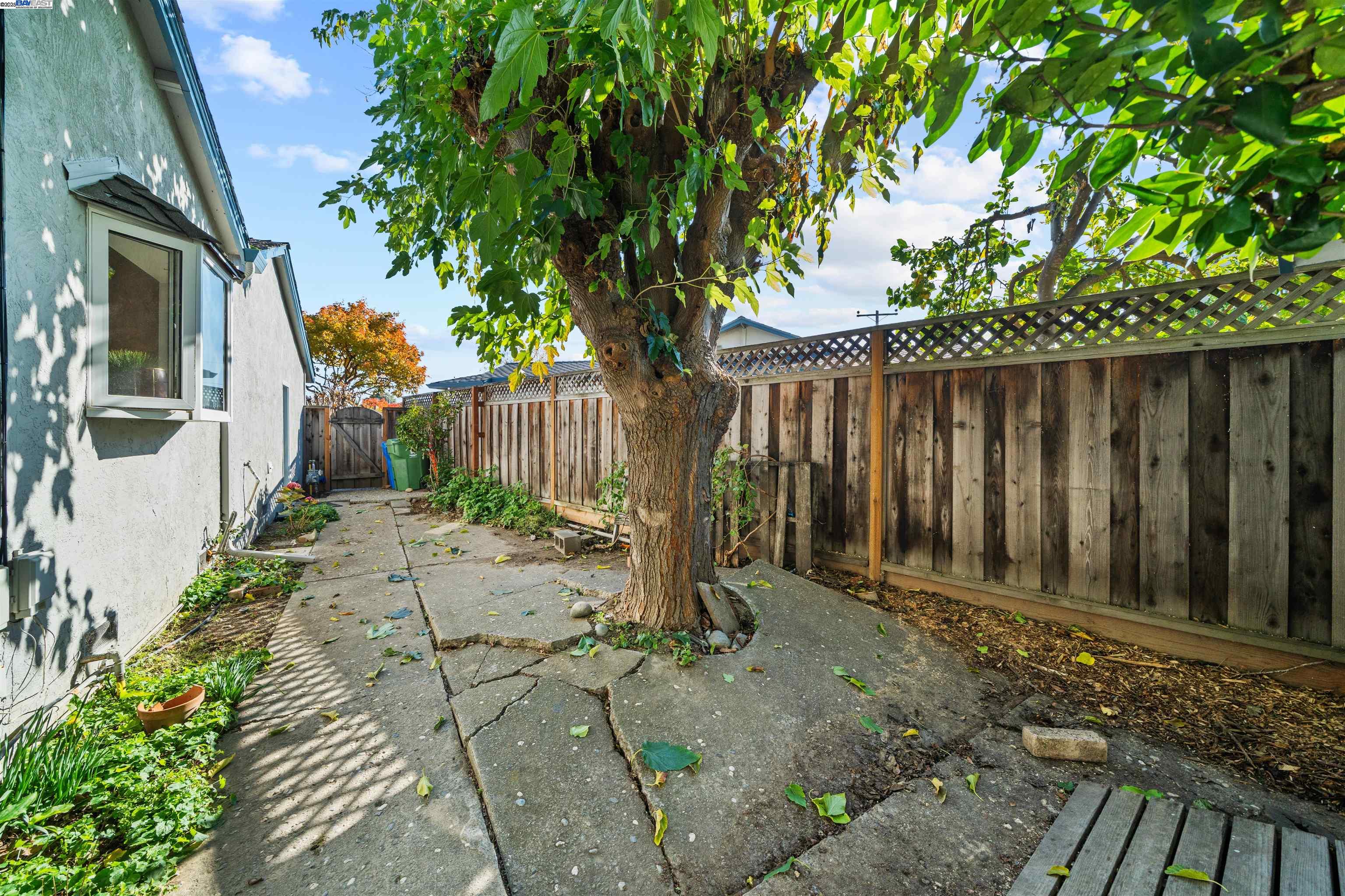 3393 Sutton Loop Fremont, CA 94536 - Photo 33 of 47 a backyard of a house with lawn chairs plants and wooden fence