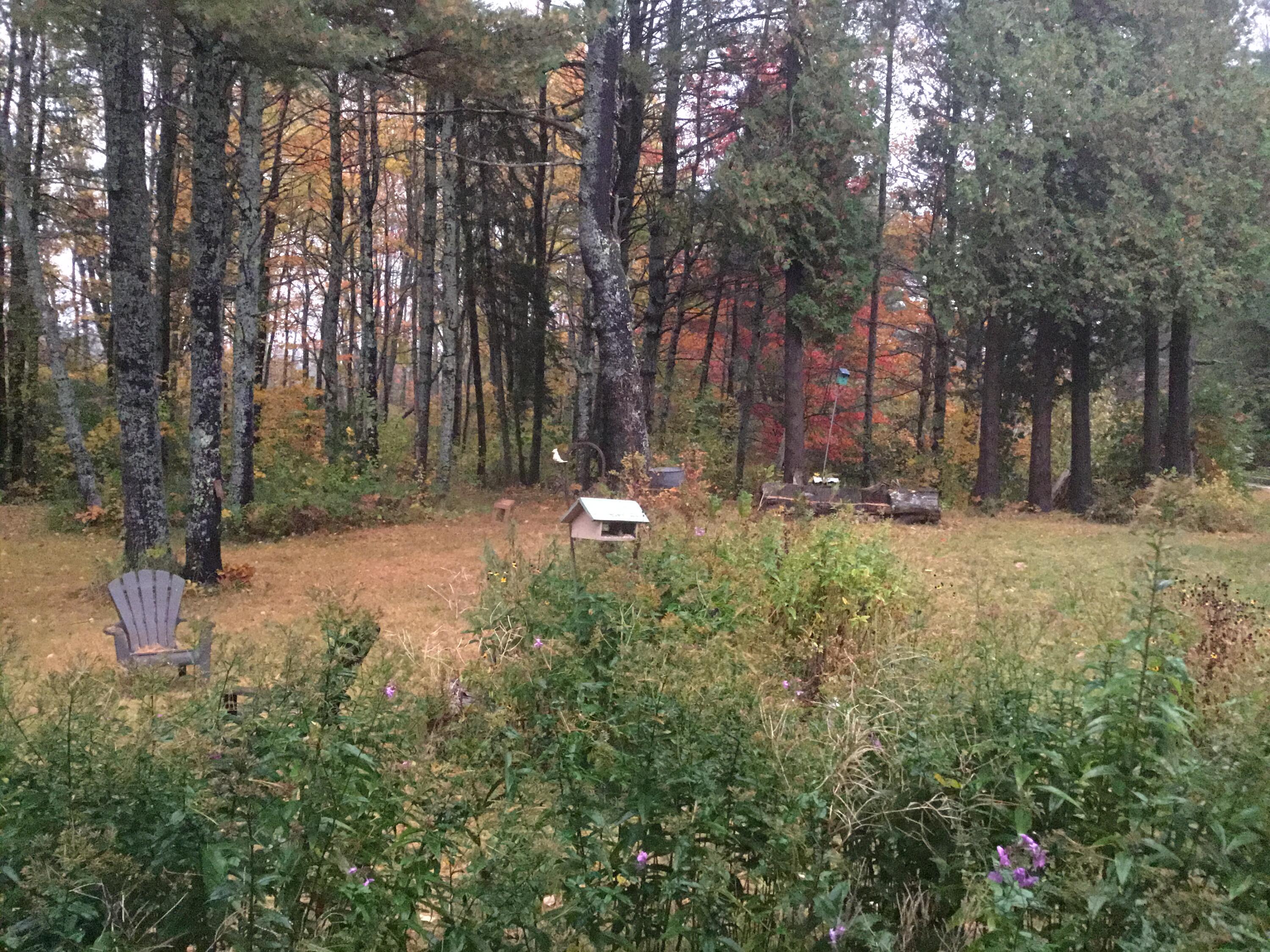 Reed fall picture