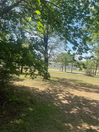 a view of a trees in a yard