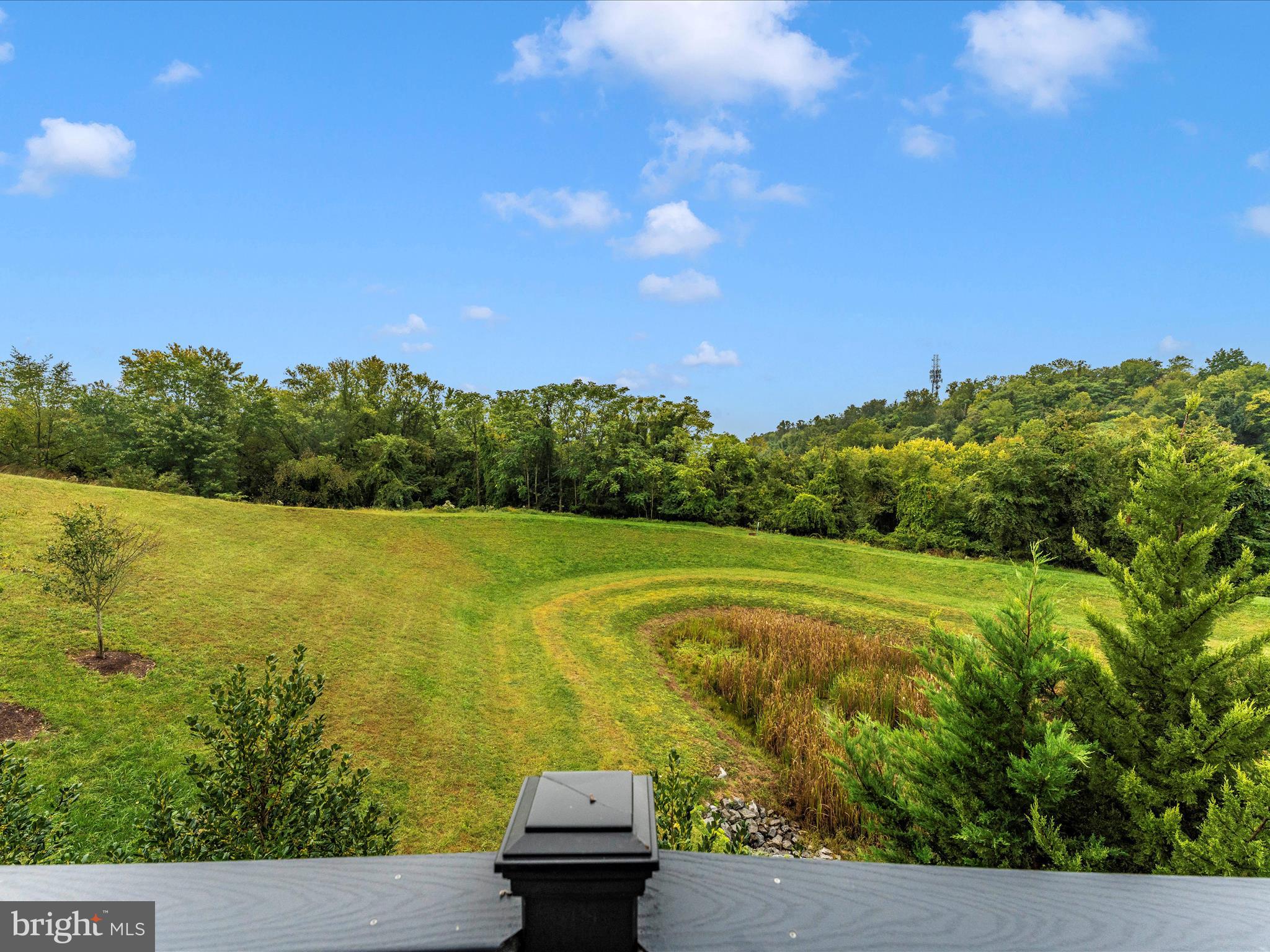 5509 Golden Eagle Road Frederick, MD 21704 - Photo 54 of 79 Back Deck View