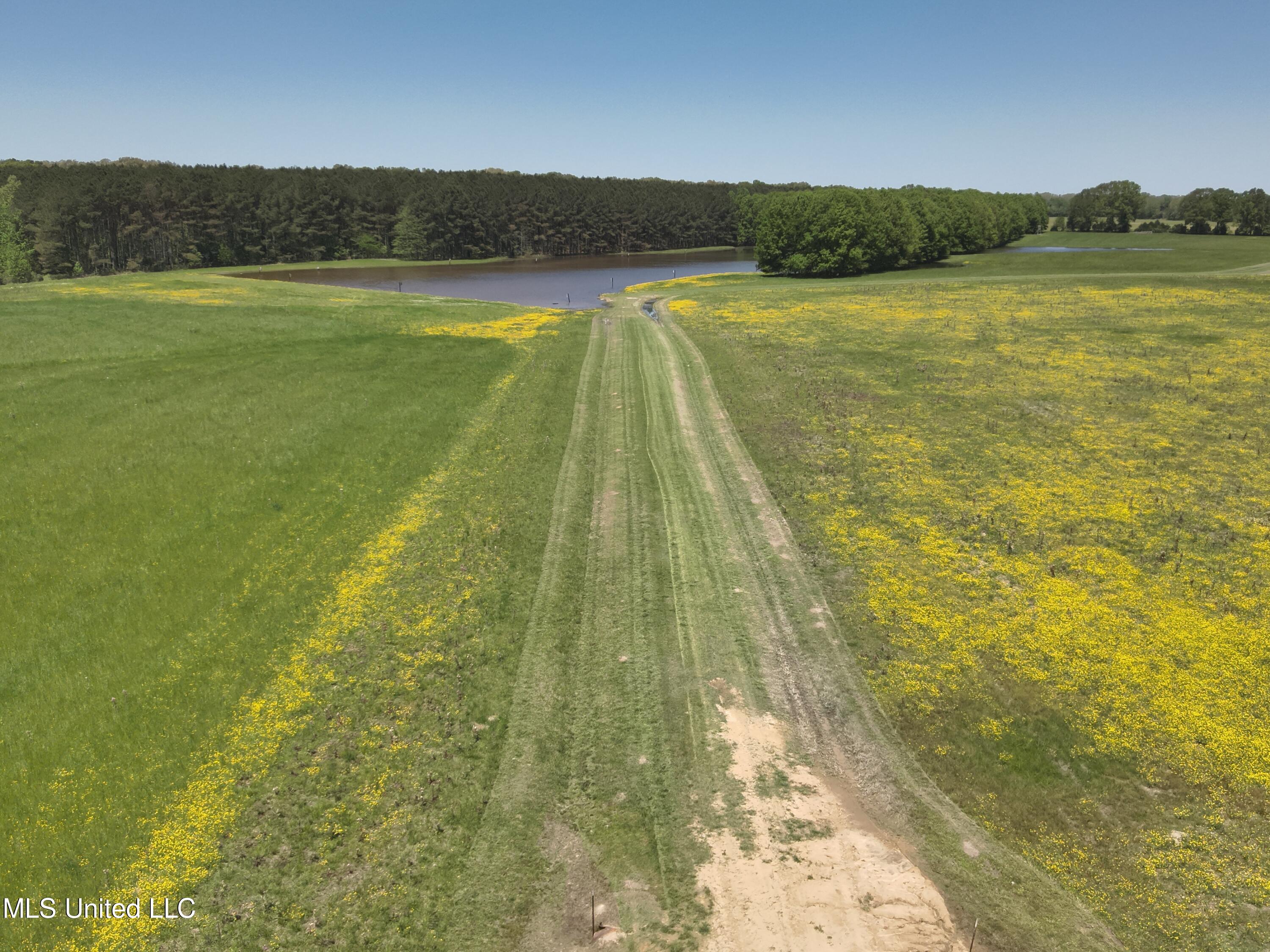 8741 Scotland Road Benton, MS 39039 - Photo 11 of 25 DJI_20230417124537_0005_V