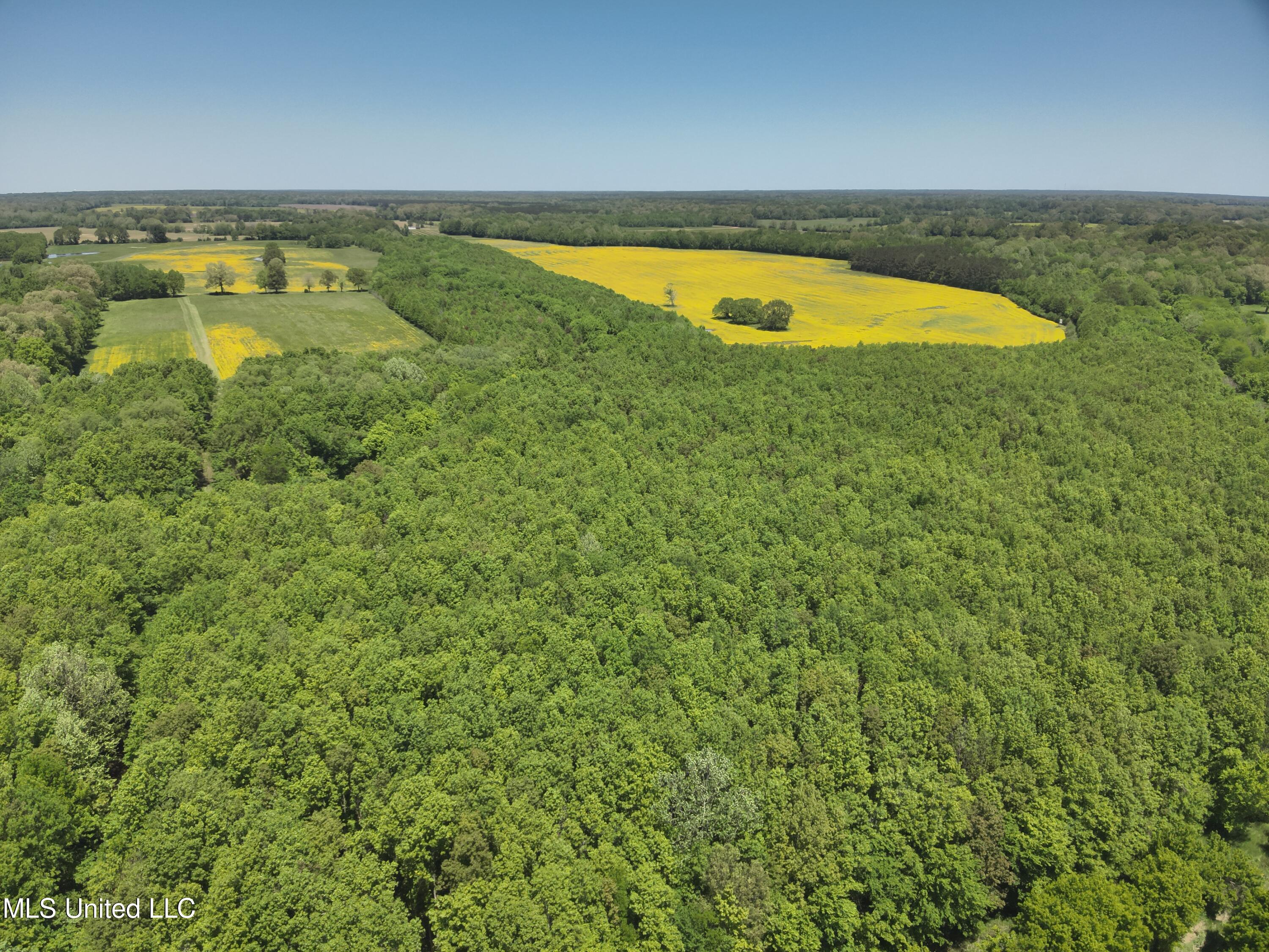 8741 Scotland Road Benton, MS 39039 - Photo 6 of 25 DJI_20230417130819_0014_V