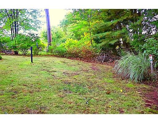 154 East Allen Ridge Road Springfield, MA 01118 - Photo 5 of 9 a view of a garden