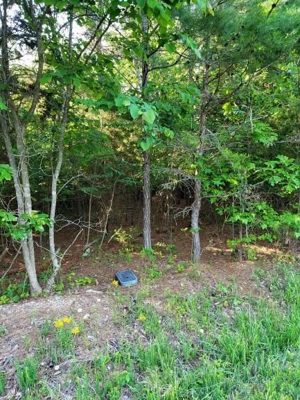 1375 Pin Hook Road Spring City, TN 37381 - Photo 6 of 18 Gallery Image 6
