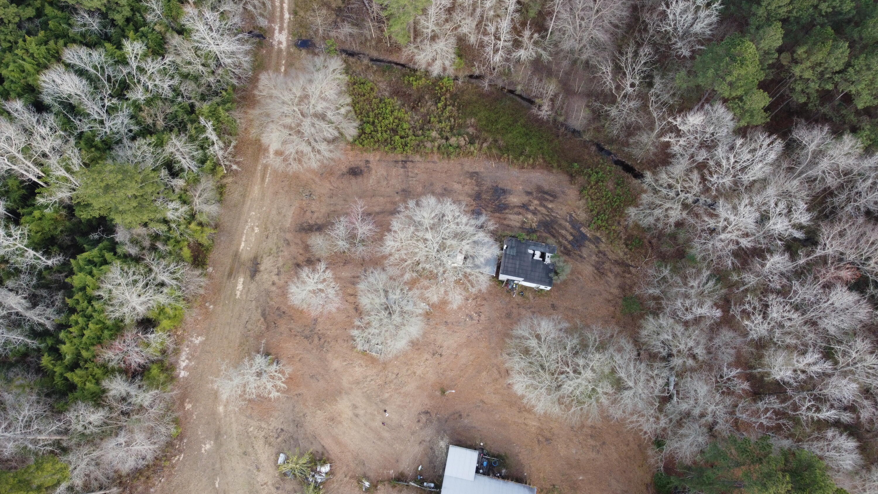 1735 Highway 15 South St. George, SC 29477 - Photo 7 of 9 Backyard & Road