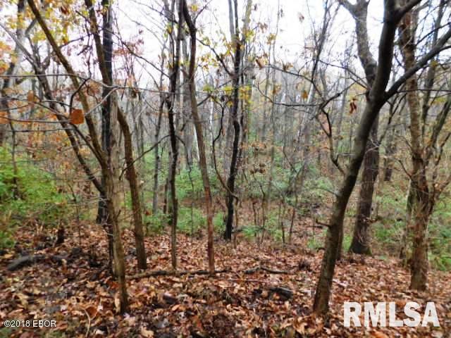 1501 Ullman Road Centralia, IL 62801 - Photo 9 of 16 Gallery Image 9