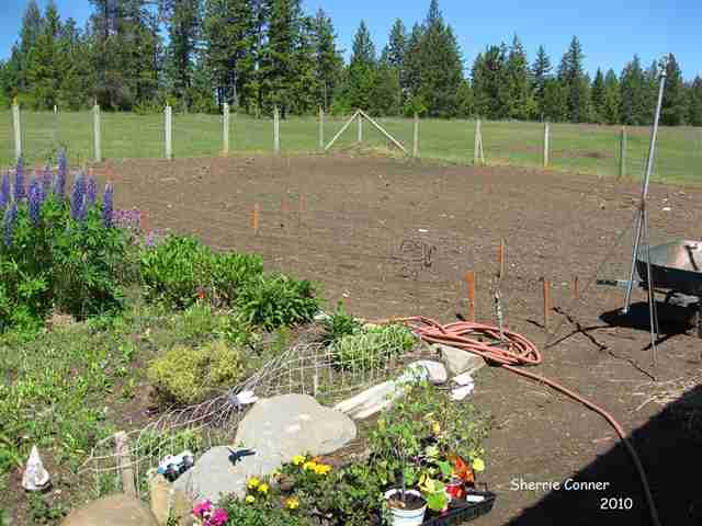 10302 East Boundary Road Elk, WA 99009 - Photo 3 of 9