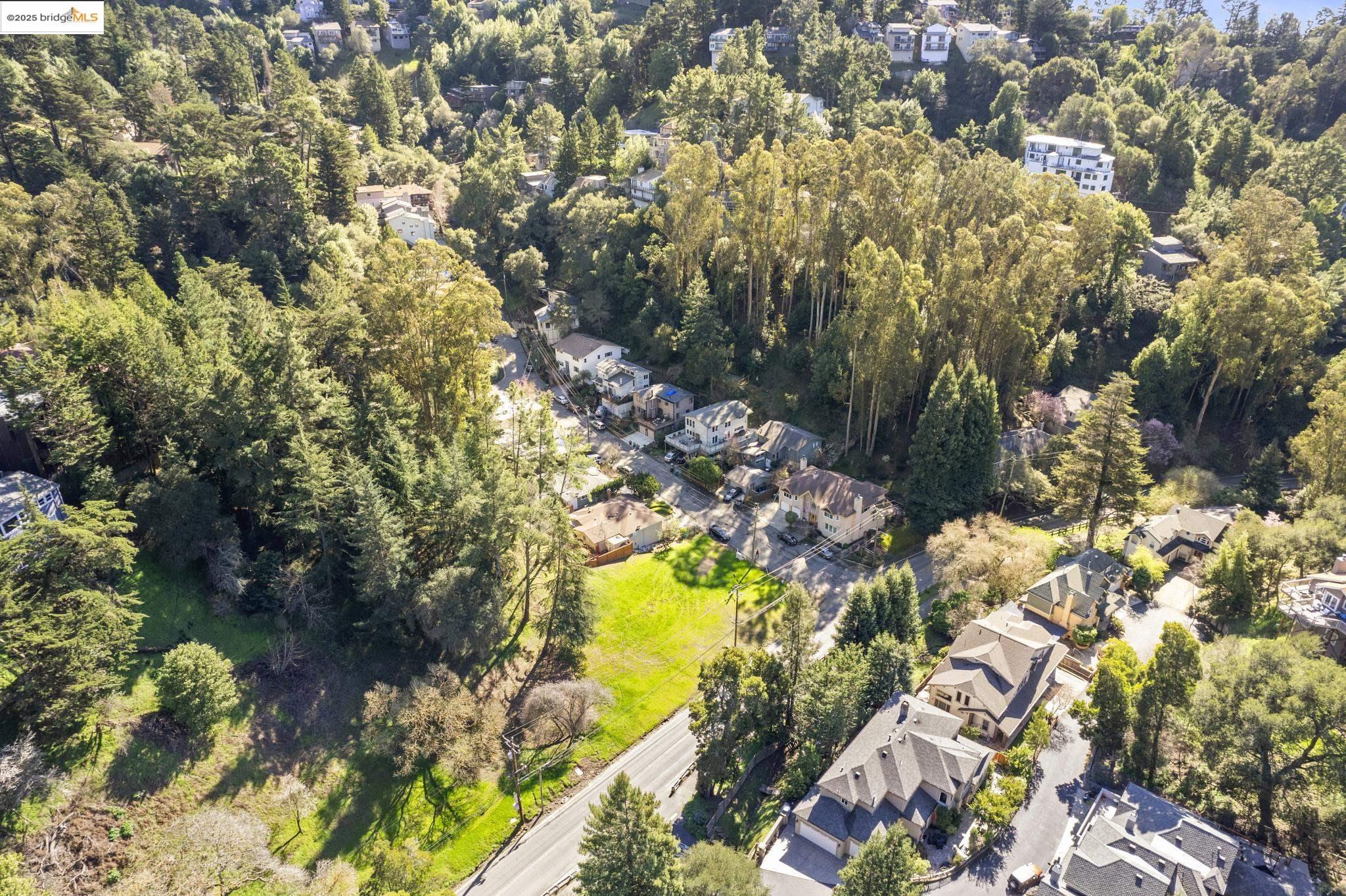 6658 Shepherd Canyon Road Oakland, CA 94611 - Photo 12 of 19 a view of a yard with plants and large trees
