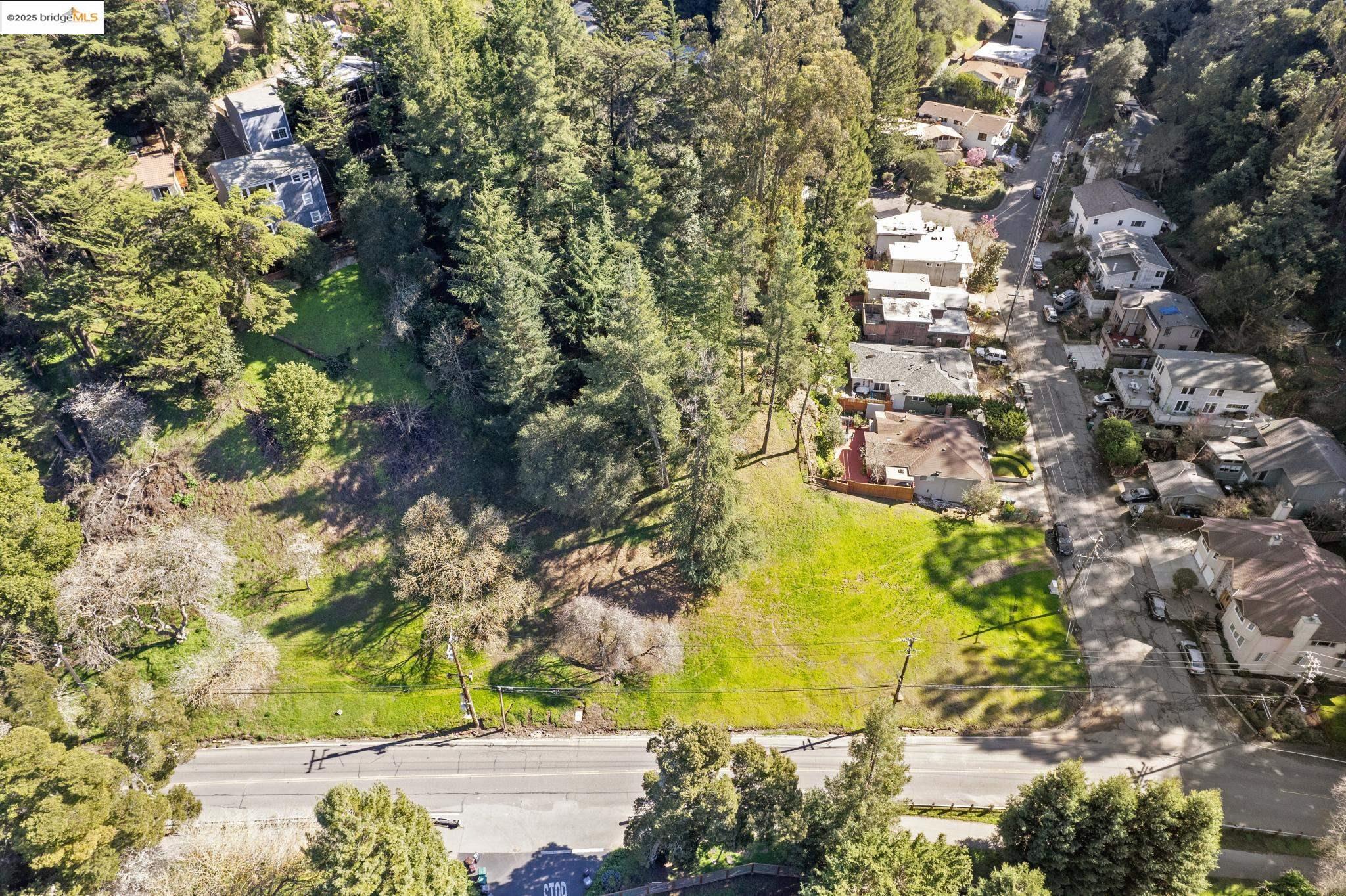 6658 Shepherd Canyon Road Oakland, CA 94611 - Photo 15 of 19 a view of a yard with plants and large trees