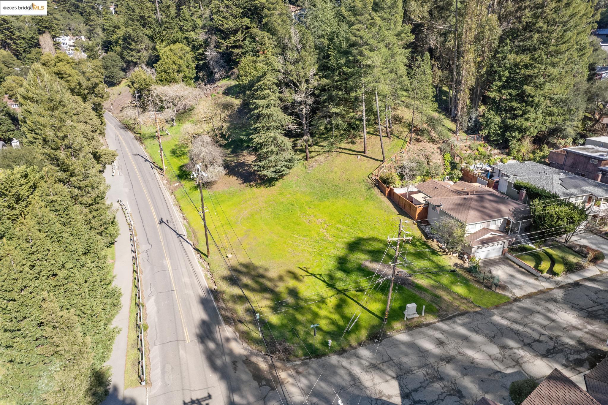 6658 Shepherd Canyon Road Oakland, CA 94611 - Photo 4 of 19 a view of a yard with plants and brick wall