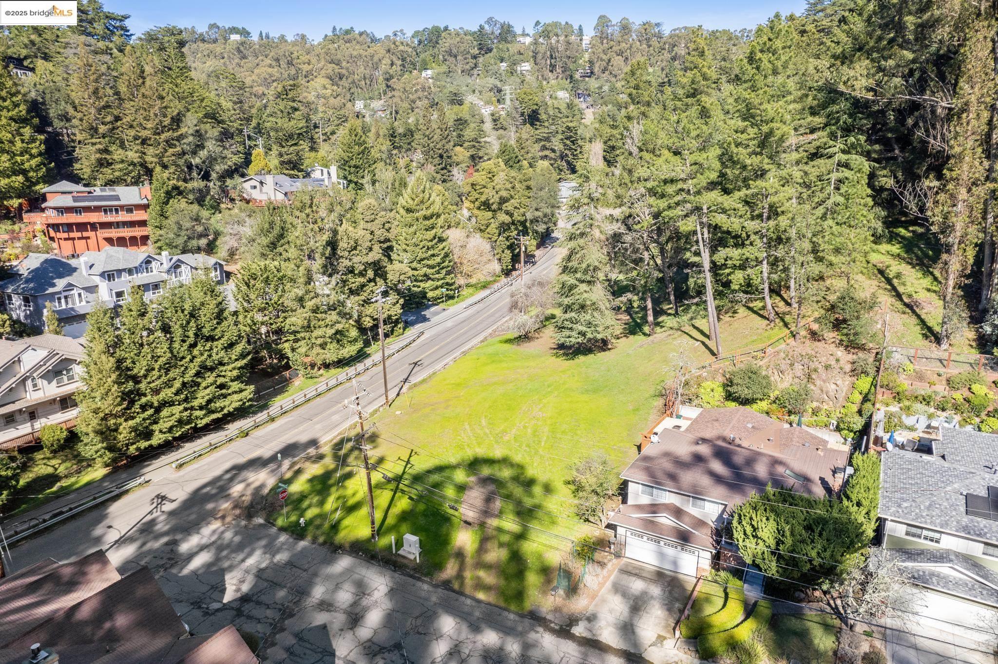 6658 Shepherd Canyon Road Oakland, CA 94611 - Photo 6 of 19 a view of a yard with plants and large trees