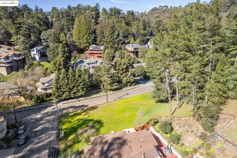 a view of a yard with plants