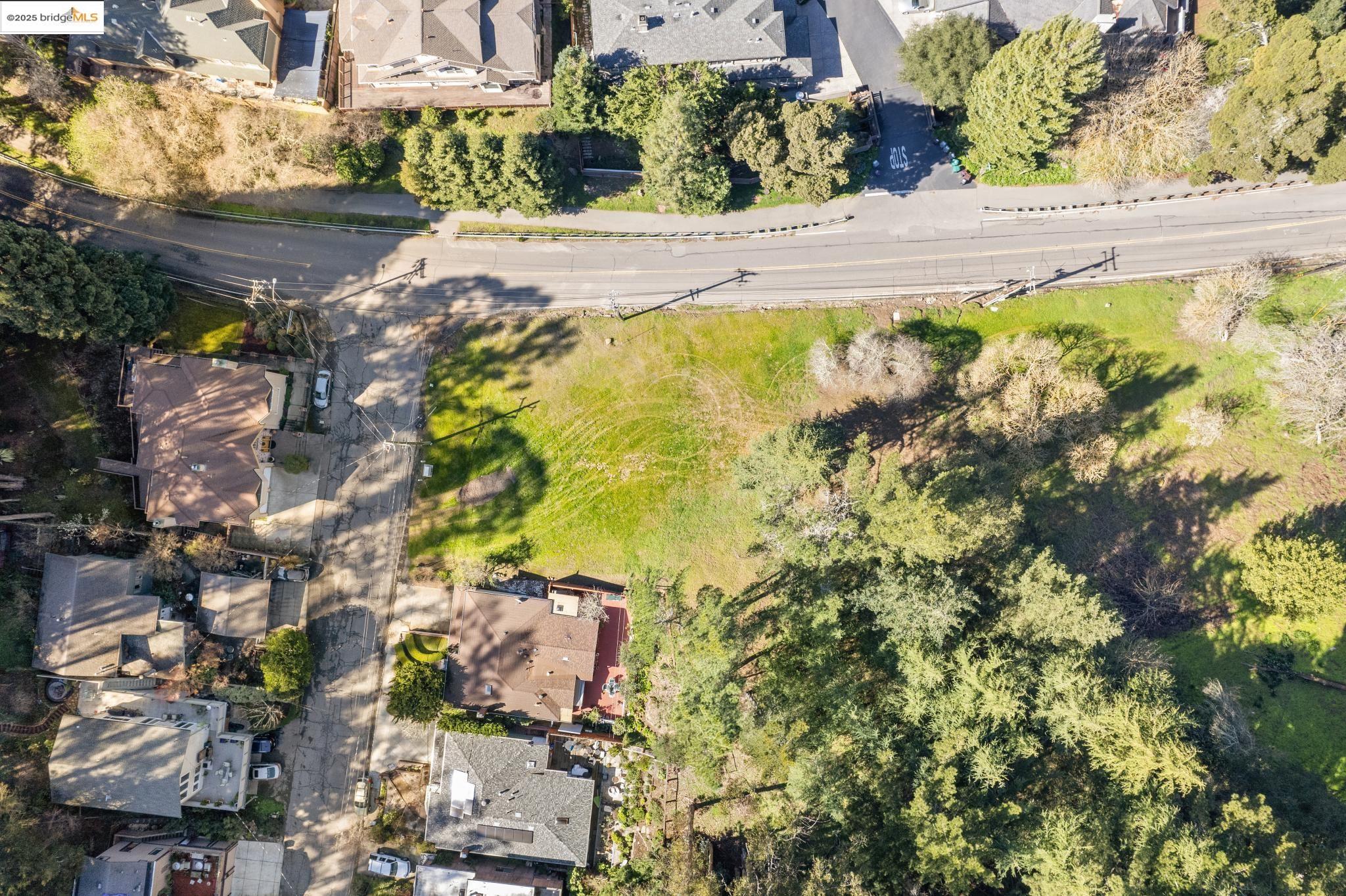 6658 Shepherd Canyon Road Oakland, CA 94611 - Photo 8 of 19 a view of a yard with plants