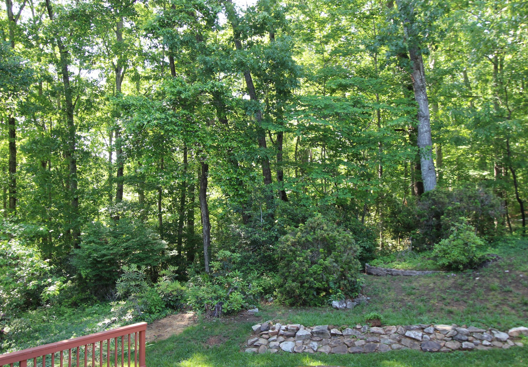 133 North Seneca Road Oak Ridge, TN 37830 - Photo 5 of 35 a view of outdoor space and yard
