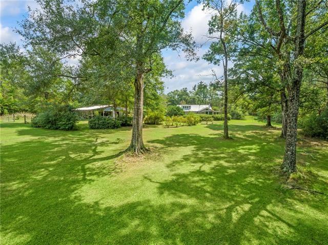11205 Lee Settlement Road Folsom, LA 70437 - Photo 30 of 49