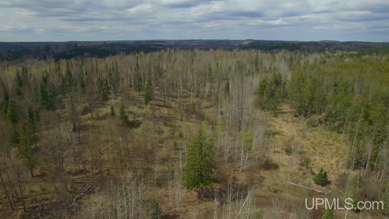 M69 Rd Crystal Falls Crystal Falls, MI 49920 - Photo 16 of 21